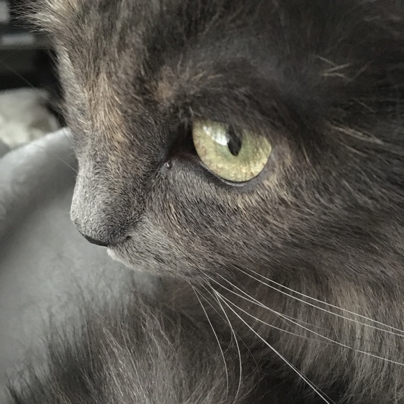 Meet your Posher, Stel - Picture 1 of 1